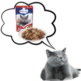 PREVITAL Manzo in gelatina - cibo umido per gatti - 100g