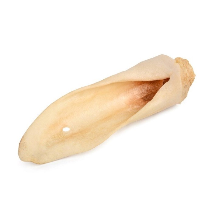 PETMEX Orecchia di pecora bianca Mono - snack per cani - 10 pz.