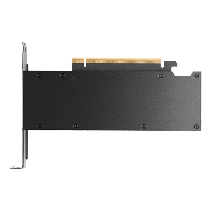 NVIDIA PNY RTX PRO 2000 Blackwell - 16 GB GDDR7 scheda grafica