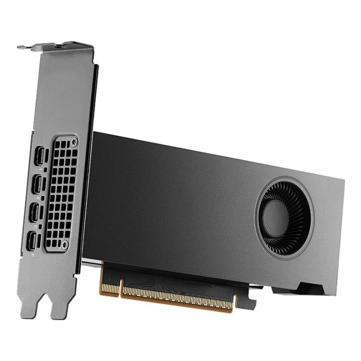 NVIDIA PNY RTX PRO 2000 Blackwell - 16 GB GDDR7 scheda grafica