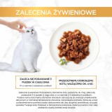 GOURMET GOLD - Casserole anatra e tacchino 85g