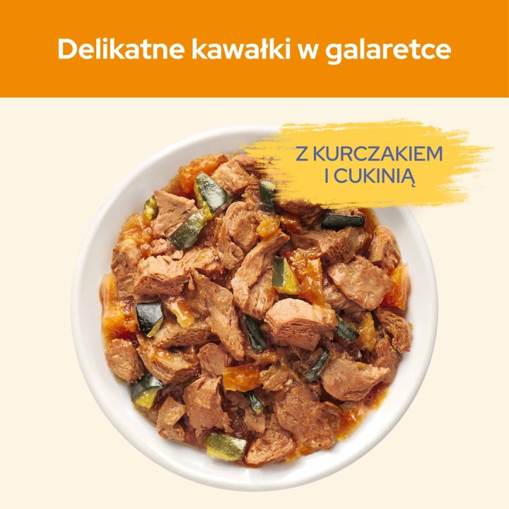 PURINA Cat Chow Pollo Zucchina - cibo umido per gatti - 10x85 g