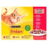 Friskies Mix carne - cibo umido per gatti - 12 x 85 g