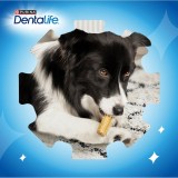 PURINA Dentalife Extra Mini - Snack dentale per cani - 69 g