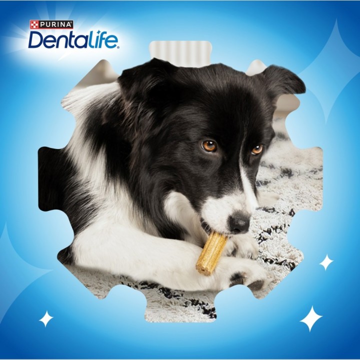PURINA Dentalife Extra Mini - Snack dentale per cani - 69 g