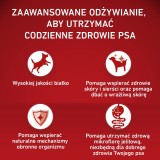 PURINA One Adult Medium/Maxi Sensitive Ricco di salmone con riso - cibo secco per cani - 2 5kg