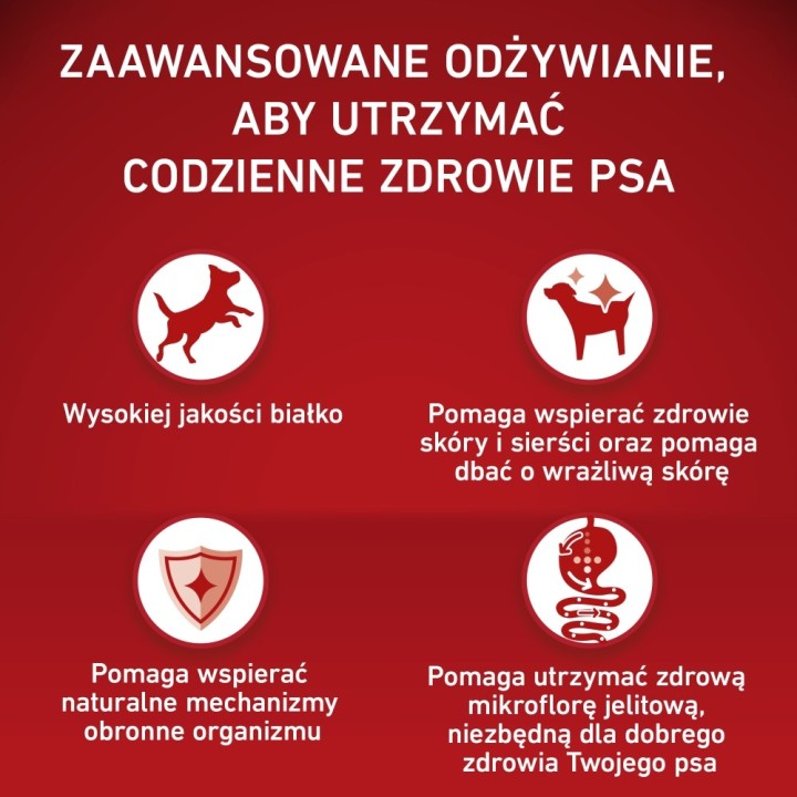 PURINA One Adult Medium/Maxi Sensitive Ricco di salmone con riso - cibo secco per cani - 2 5kg