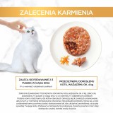 PURINA Gourmet Gold Tortino saporito - cibo umido per gatti - 48x85g
