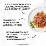 PURINA Gourmet Perle Mini filetti in salsa - cibo umido per gatti - 60x85g