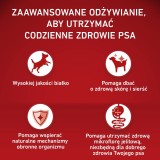 PURINA One Adult Medium/Maxi Ricco di pollo con riso - cibo secco per cani - 12kg