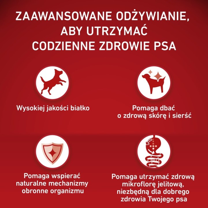 PURINA One Adult Medium/Maxi Ricco di pollo con riso - cibo secco per cani - 12kg