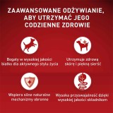 PURINA One Mini/Small Active Ricco di pollo con riso - cibo secco per cani - 800g