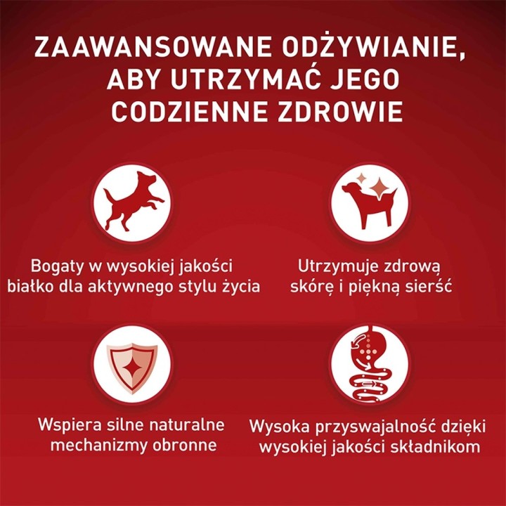 PURINA One Mini/Small Active Ricco di pollo con riso - cibo secco per cani - 800g