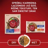 PURINA One Mini Adult Manzo Riso - Cibo secco per cani - 800 g