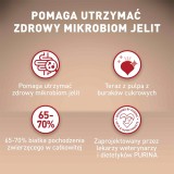 PURINA One Mini Adult Manzo Riso - Cibo secco per cani - 800 g
