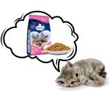 PREVITAL Junior pollo - cibo secco per gatti - 950g