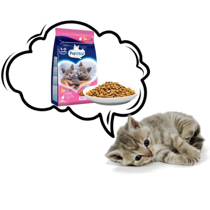 PREVITAL Junior pollo - cibo secco per gatti - 950g