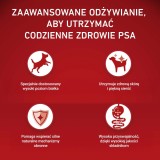 PURINA One Sensitive Mini/Small Ricco di manzo con riso - cibo secco per cani - 1 5kg
