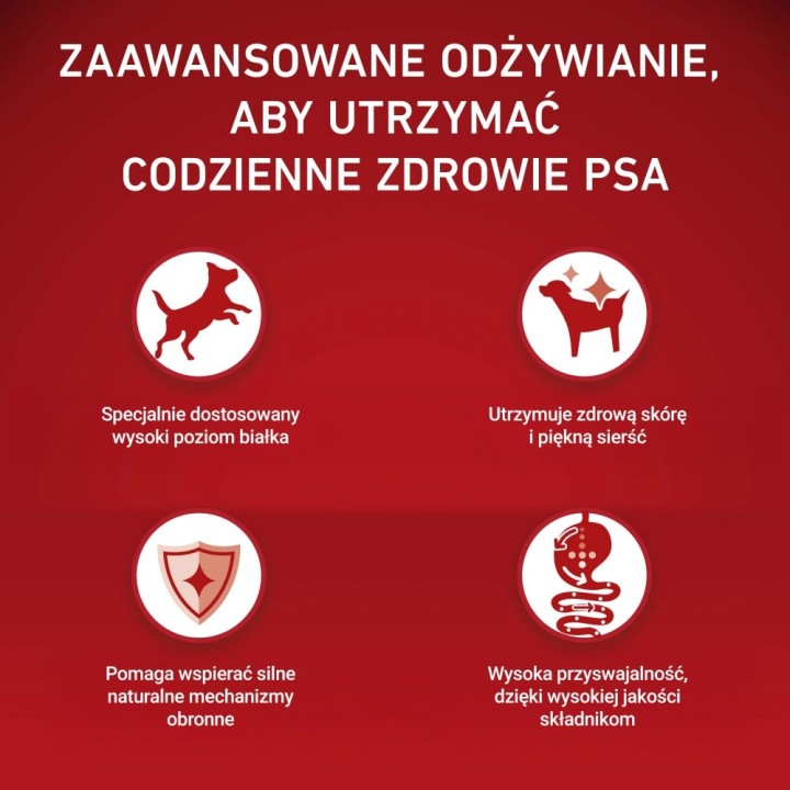 PURINA One Sensitive Mini/Small Ricco di manzo con riso - cibo secco per cani - 1 5kg