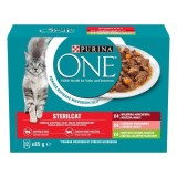 PURINA One Sterilcat mix sapori - cibo umido per gatti - 12 x 85g