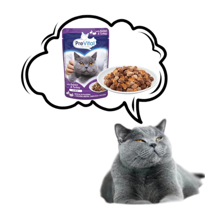PREVITAL Tacchino e coniglio in gelatina - cibo umido per gatti - 100g
