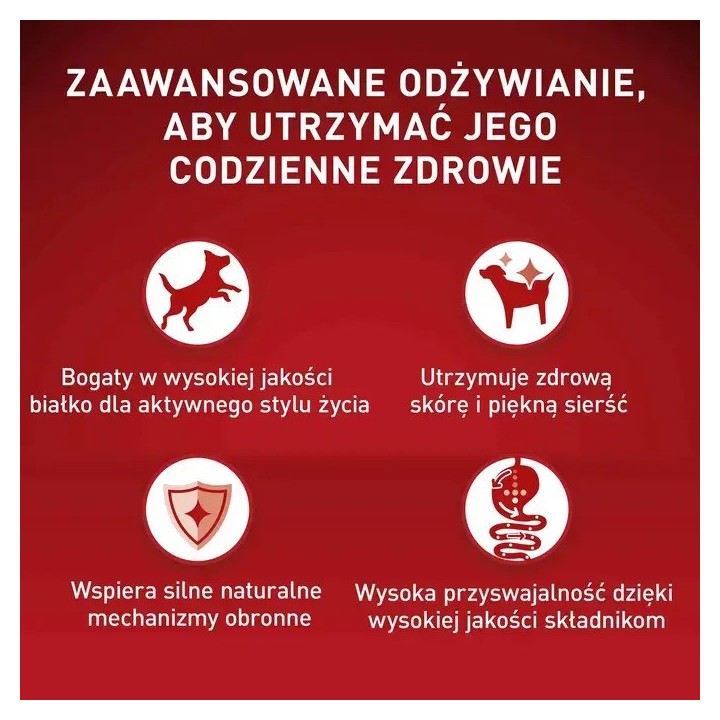PURINA One Mini/Small Active Manzo - cibo umido per cani - 85g