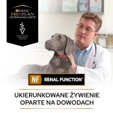 PURINA Pro Plan Veterinary Diets NF Renal Function - Cibo umido per cani - 400 g