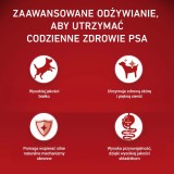 PURINA One Sensitive Mini/Small Salmone con riso - cibo secco per cani - 1 5kg