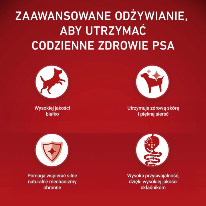 PURINA One Sensitive Mini/Small Salmone con riso - cibo secco per cani - 1 5kg