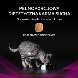 PURINA Pro Plan Veterinary Diets Feline UR St/Ox Urinary - cibo secco per gatti - 1 5kg
