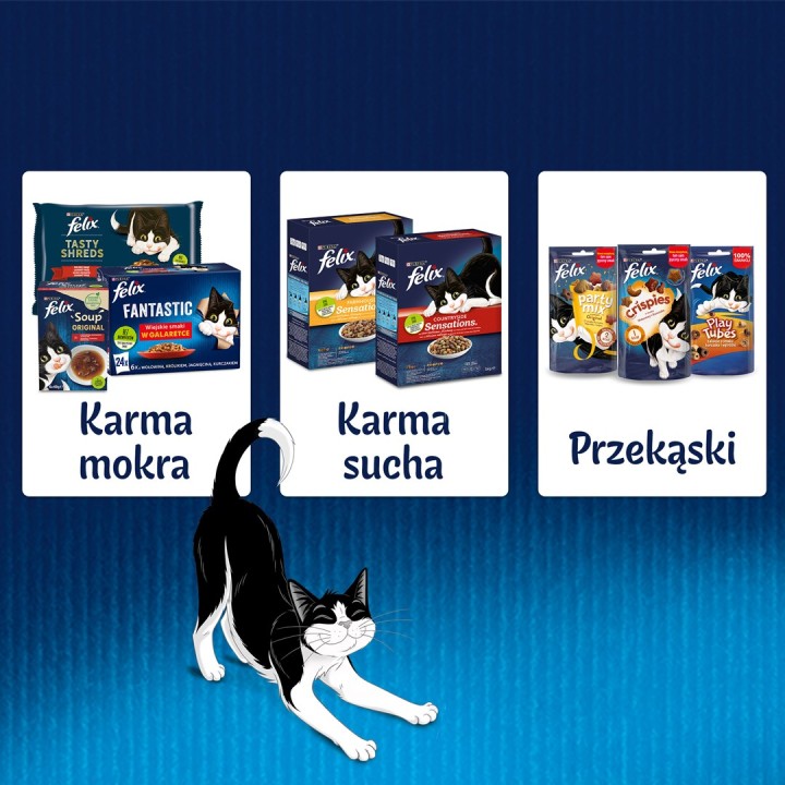 Purina Felix Fantastic coniglio in gelatina - cibo umido per gatti - 85g