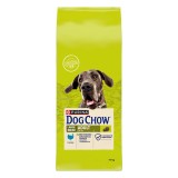 Purina DOG CHOW Large Breed Adult 14 kg Tacchino