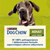 Purina DOG CHOW Large Breed Adult 14 kg Tacchino