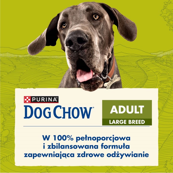 Purina DOG CHOW Large Breed Adult 14 kg Tacchino