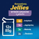 Purina Felix Sensations Mix Tacchino Sgombro Agnello Aringa - Cibo Umido per Gatti - 12x85 g