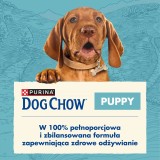 Purina Dog Chow Puppy Agnello 14 kg