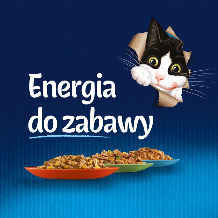 Felix Fantastic Pollo Pomodoro - Cibo Umido per Gatti - 85 g
