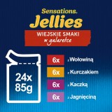 Felix Sensations gusti campagna in gelatina 24 x 85 g