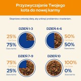PURINA Cat Chow Agnello Fagiolini - cibo umido per gatti - 10x85 g