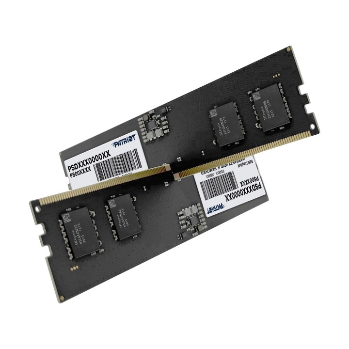 Patriot Memory modulo di memoria Signature Line 16 GB 1 x 16 GB DDR5 5600 MHz (PSD516G56002)
