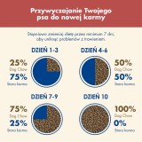 PURINA Dog Chow Sensitive Salmone - cibo secco per cani - 14 + 2 5kg