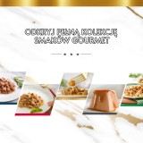 PURINA Gourmet Revelations Bocconi in gelatina con pollo - cibo umido per gatti - 2x57g