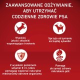 PURINA One Adult Medium/Maxi Weight Control/Sterilized Ricco di tacchino con riso - cibo secco per cani - 2 5kg