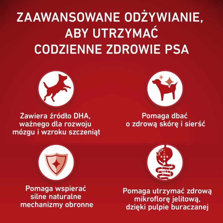 PURINA One Junior Medium/Maxi Ricco di pollo con riso - cibo secco per cani - 7kg
