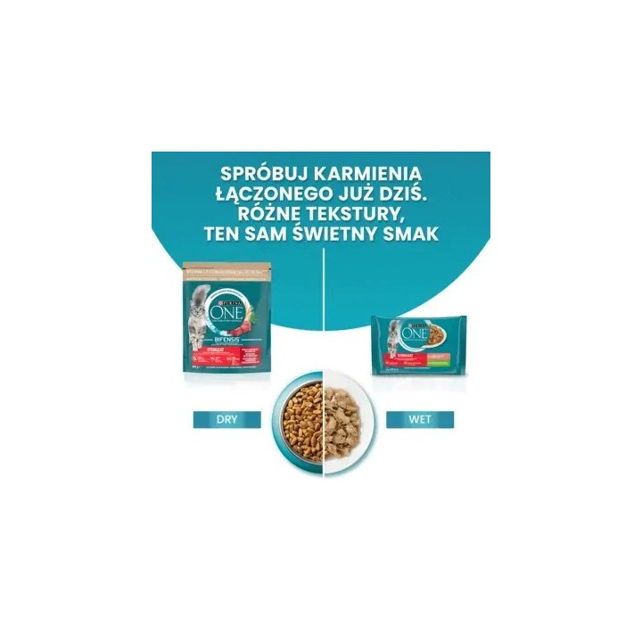 PURINA One Sterilcat Manzo - cibo secco per gatti - 9 75kg