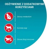 PURINA One Sterilcat Manzo - cibo secco per gatti - 9 75kg