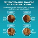 PURINA One Sterilcat Manzo - cibo secco per gatti - 9 75kg