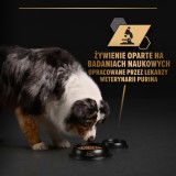 PURINA Pro Plan Everyday nutrition All size Adult Tacchino in gelatina - cibo umido per cani - 400g