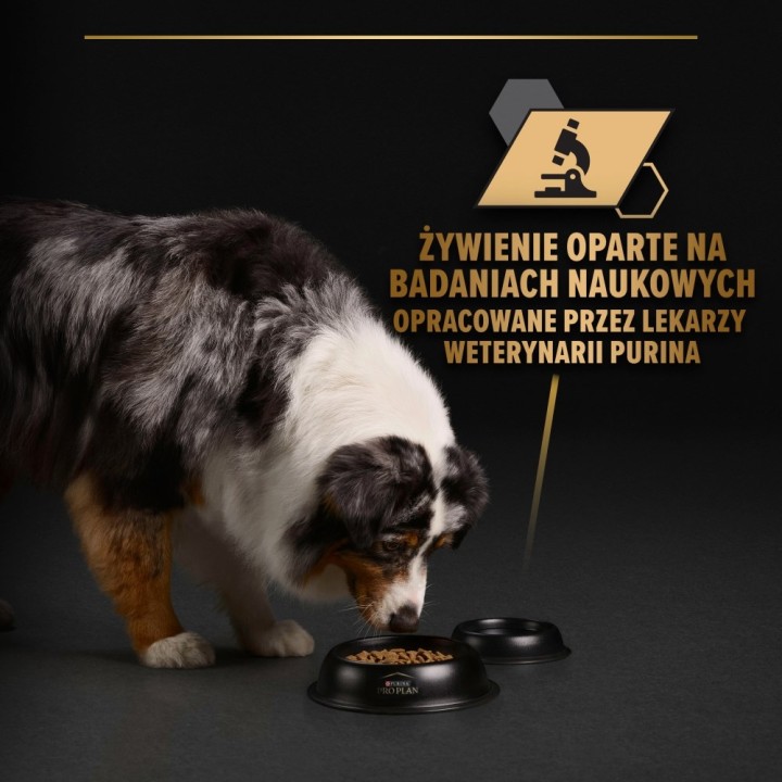 PURINA Pro Plan Everyday nutrition All size Adult Tacchino in gelatina - cibo umido per cani - 400g