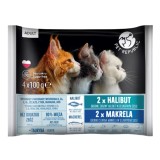 PETREPUBLIC Adult Halibut e sgombro box - cibo umido per gatti – 4x100g